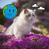 fiona_walters